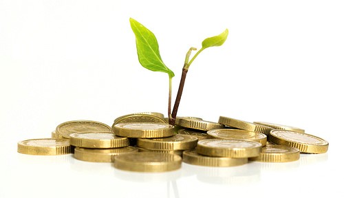 plant-money-grow